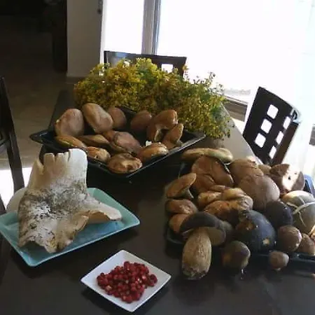 Traditional τzavella * Agia Sotira